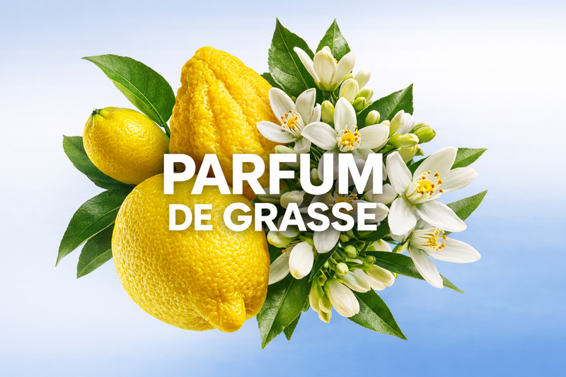 Parfum_de_Grasse_Maison_Tassan_notes_de_fleur_d_oranger - Tassan