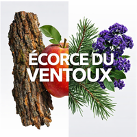 Écorce du Ventoux